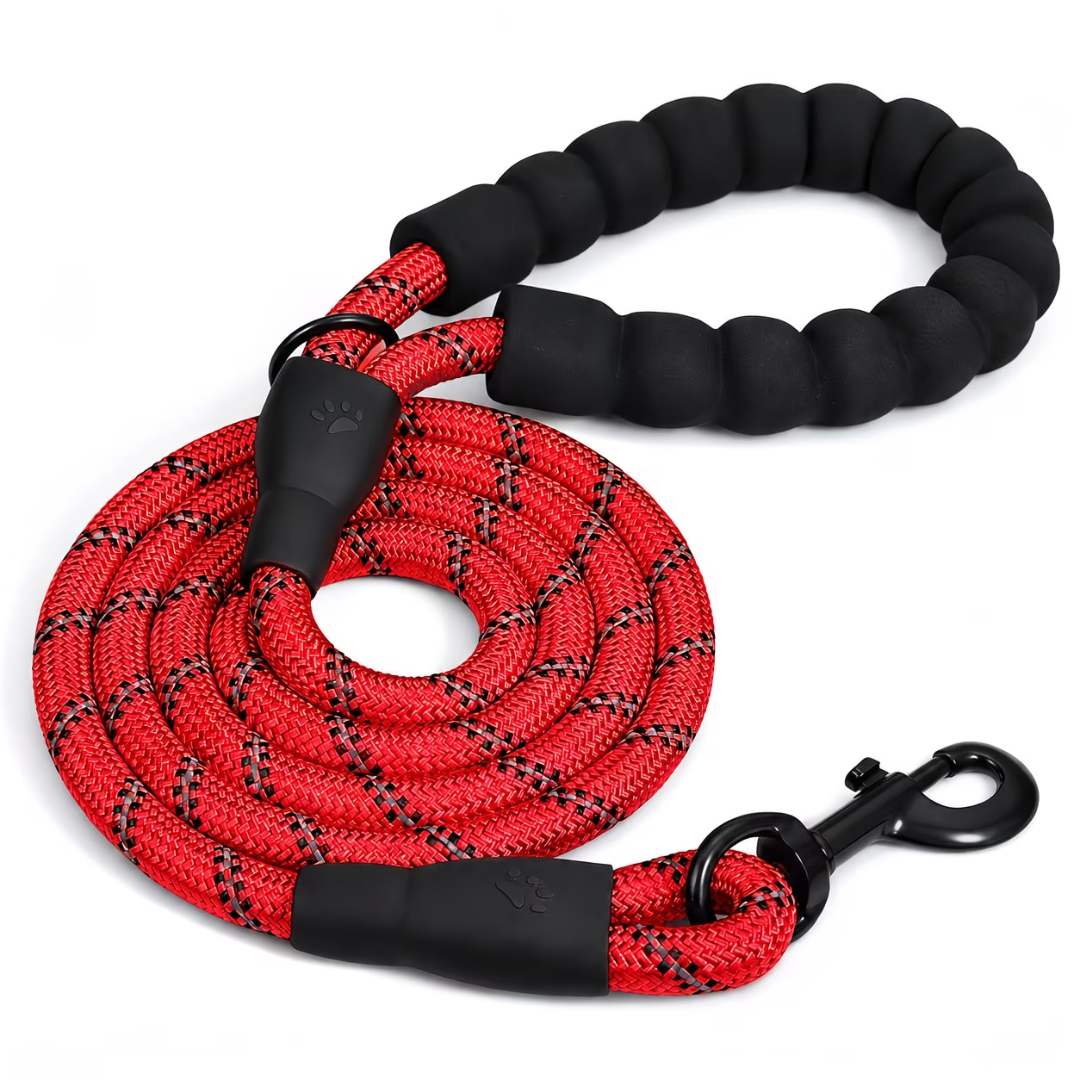 5FT Comfort Padded Dog Leash Reflective Nylon Rope Lead with Soft Foam Handle Strong Pet Walking Leash for Small Medium Large Dogs