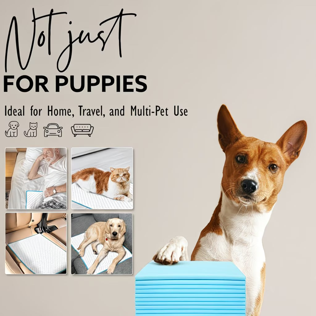 50 Pack Puppy Training Pads 56x56cm – Super Absorbent Leak-Proof Dog Pee Pads for Puppies & Pets
