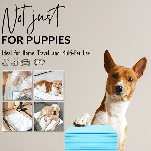 50 Pack Puppy Training Pads 56x56cm – Super Absorbent Leak-Proof Dog Pee Pads for Puppies & Pets