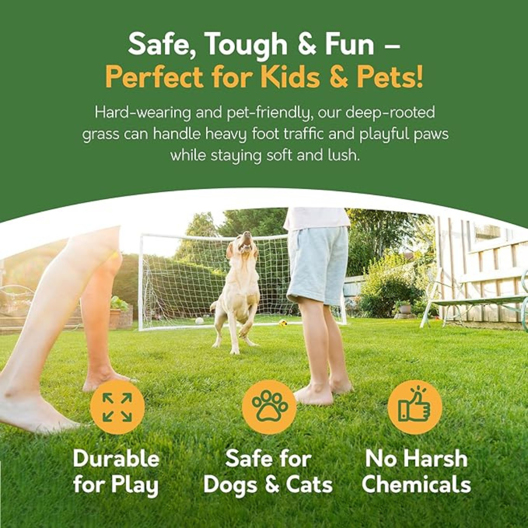 Pronto Seed Premium Fast Growing Grass Seed 1.4kg – Hard Wearing Lawn Seeds for Overseeding & New Turfs – Covers 84m, Hard Wearing, DEFRA Approved & Tailored for UK Climate (1.4kg)