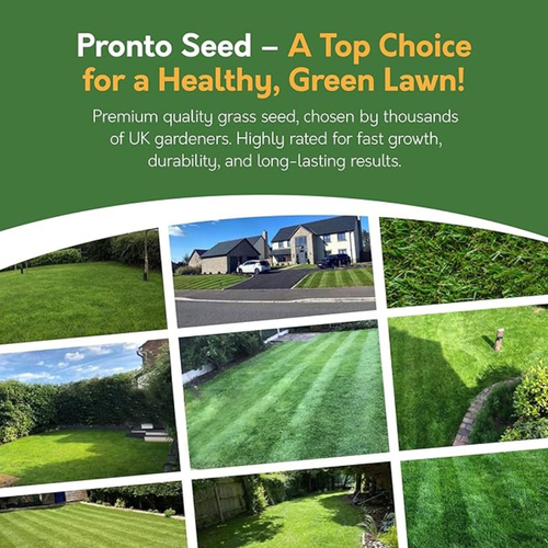 Pronto Seed Premium Fast Growing Grass Seed 1.4kg – Hard Wearing Lawn Seeds for Overseeding & New Turfs – Covers 84m, Hard Wearing, DEFRA Approved & Tailored for UK Climate (1.4kg)